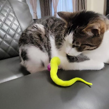 🐱Hot Sale 49% Off🔥Typared Jiggle Ball for Cat