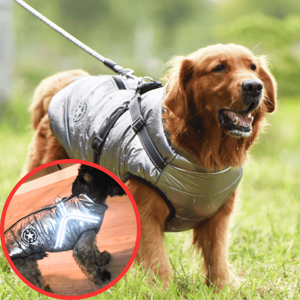 🔥Hot Sale -50% OFF🔥 3 in 1 Winter Waterproof Warm Dog Jacket With Built-in Harness