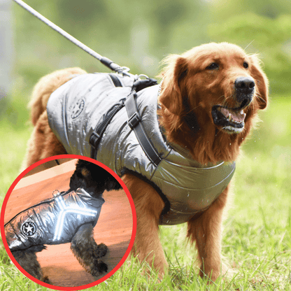 🔥Hot Sale -50% OFF🔥 3 in 1 Winter Waterproof Warm Dog Jacket With Built-in Harness
