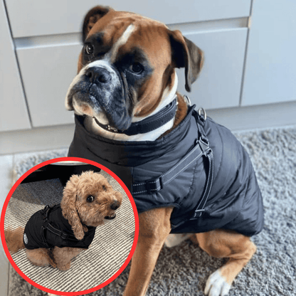 🔥Hot Sale -50% OFF🔥 3 in 1 Winter Waterproof Warm Dog Jacket With Built-in Harness