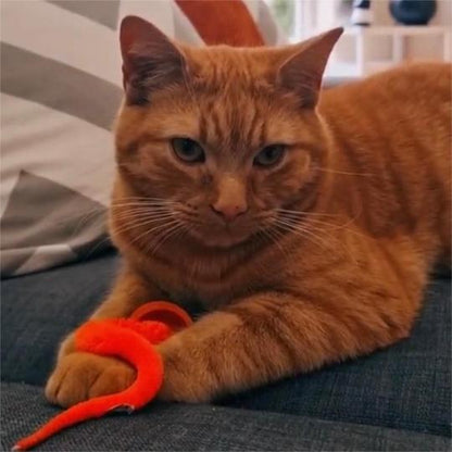 🐱Hot Sale 49% Off🔥Typared Jiggle Ball for Cat
