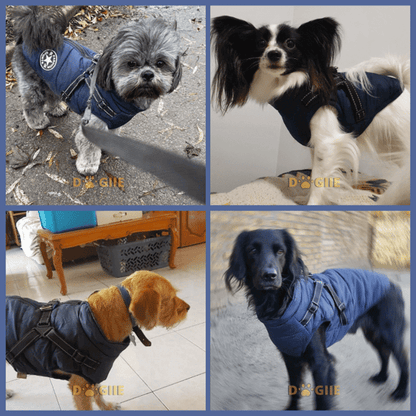🔥Hot Sale -50% OFF🔥 3 in 1 Winter Waterproof Warm Dog Jacket With Built-in Harness