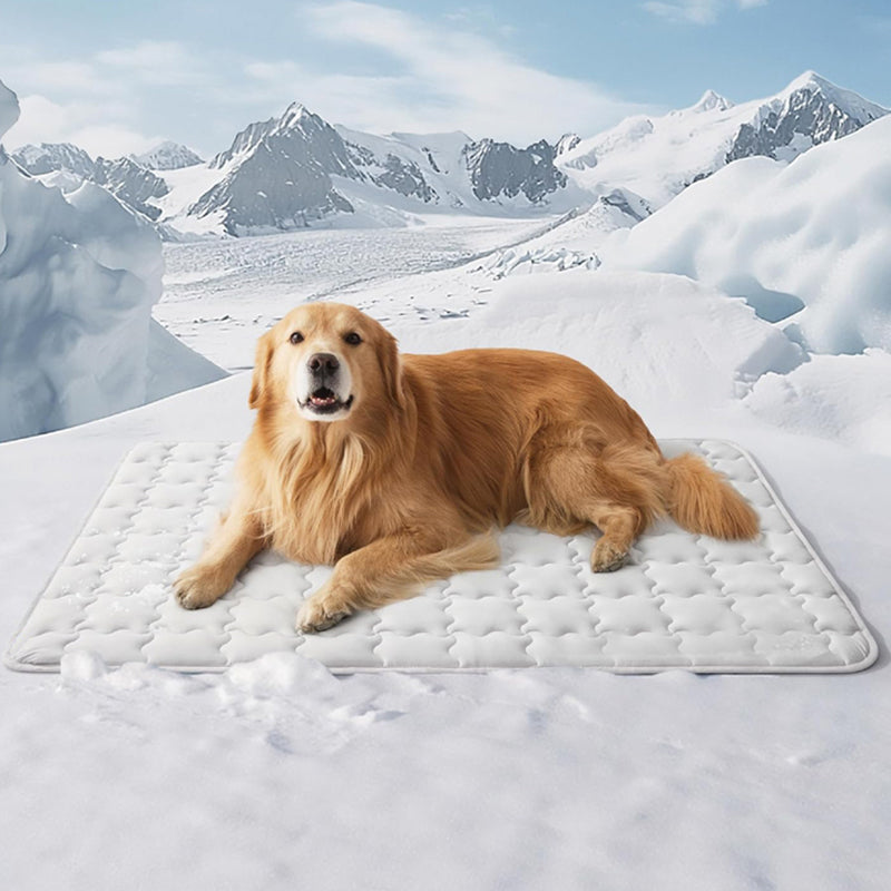 💙Hot SALE 50% OFF💙🐾Cooling Comfort Mat for Pets🐶❄️