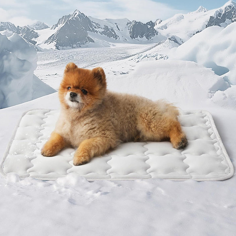 💙Hot SALE 50% OFF💙🐾Cooling Comfort Mat for Pets🐶❄️