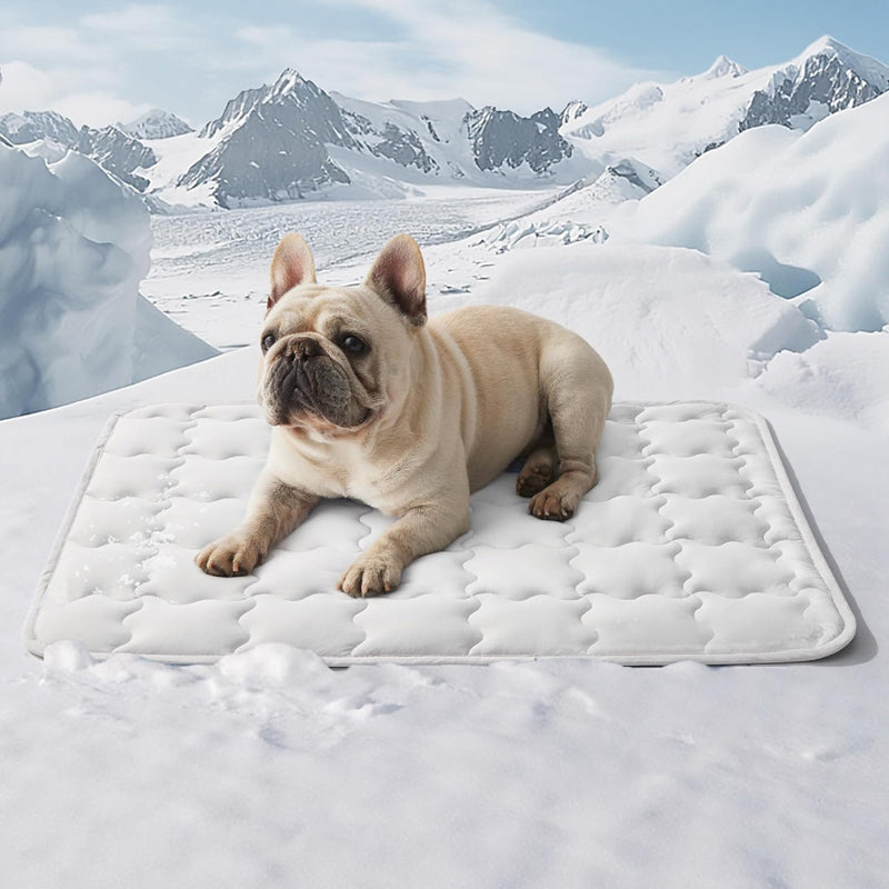 💙Hot SALE 50% OFF💙🐾Cooling Comfort Mat for Pets🐶❄️