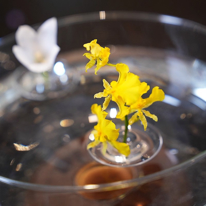 Creative Floating Floral Arrangement Holder