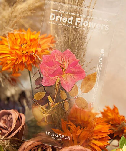 Big Size Dried Flowers Stickers Set