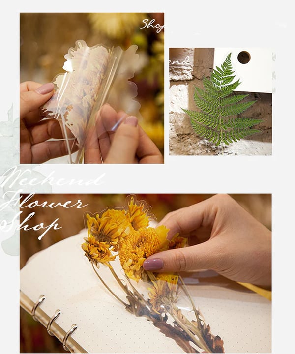 Big Size Dried Flowers Stickers Set
